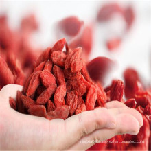 Black Goji 2019 Wholesale Wolfberry Dried Black Goji Berry Factory Price of Organic Dried Goji Berry